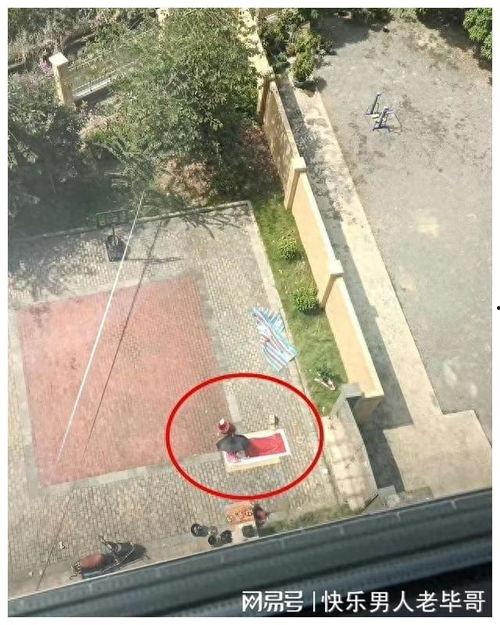 揭阳锡场事件爆料最新情况,真相逐步浮出水面