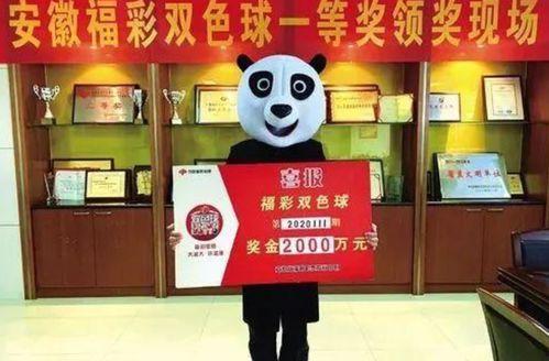 合肥刘先生最新爆料,揭秘背后惊人真相!