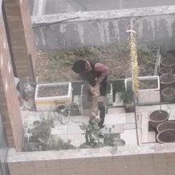 河南一小区爆料视频最新,业主维权引发关注,真相究竟如何?