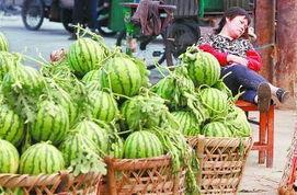 淄博吃瓜爆料事件最新进展,最新进展揭秘,真相逐渐浮出水面